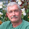 Michael Murphey